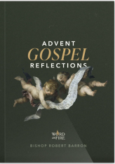 Advent Gospel Reflections 2026